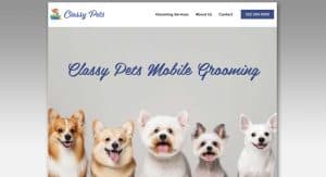 Website image for Classy Mobile Pet Grooming
